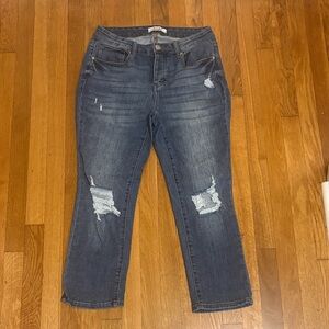 Arula Distressed Cropped Bootcut Jeans